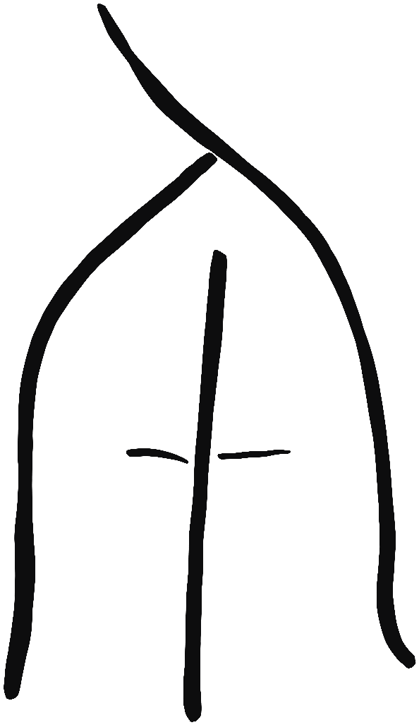 Image of the occurrence